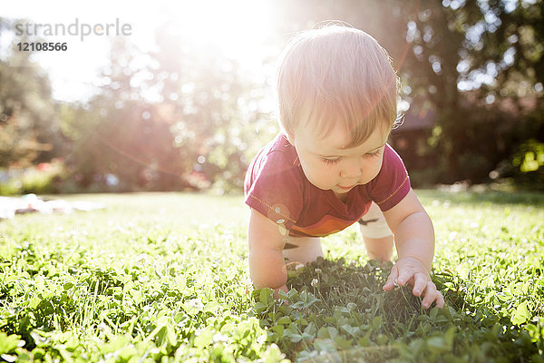 Kleiner Junge krabbelt auf Gras