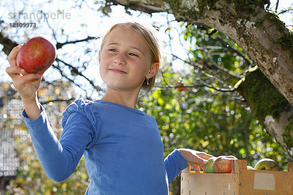 Junges Mädchen pflückt Äpfel vom Baum