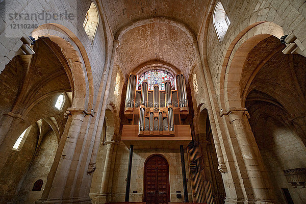 Inneres der Königlichen Abtei Santa Maria de Poblet  Vimbodi  Katalonien  Spanien  Europa