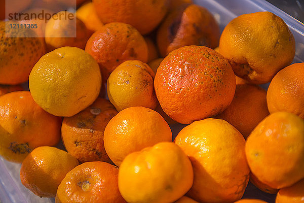 Bittere Orangen