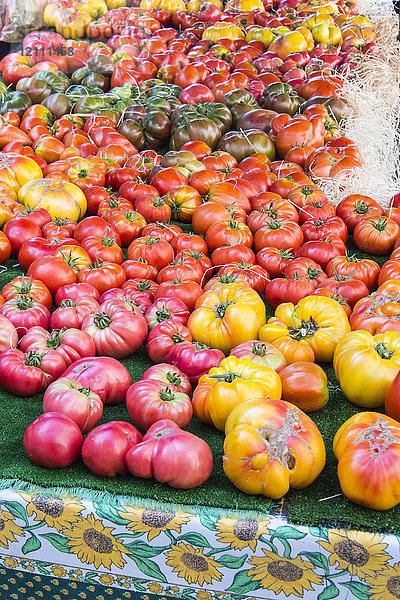 Sortiment an altmodischen Tomaten