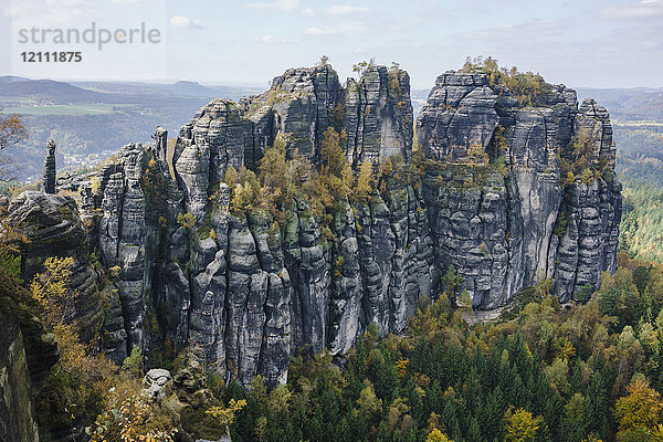 Hochwinkelansicht von Felsklippen im Wald  Elbsandsteingebirge