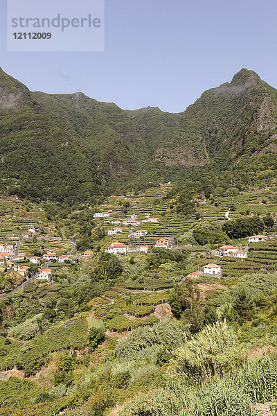 Blick auf ein Reihenfeld mit Häusern  Sao Vicente  Madeira  Portugal