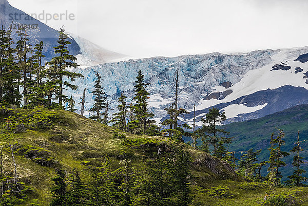 Panoramablick  Prince William Sound  Whittier  Alaska  Vereinigte Staaten  Nordamerika