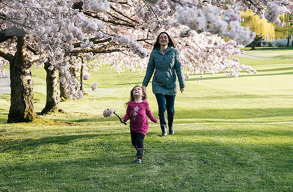 Mädchen schlendert mit der Mutter im Park und schaut zur Kirschblüte