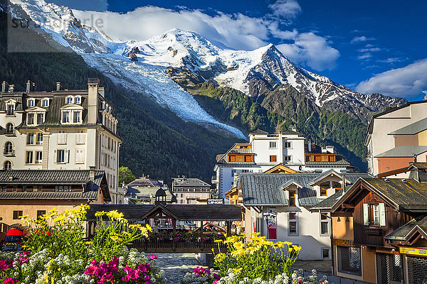 Mont Blanc über der Stadt Chamonix und dem Fluss L'Arve mit Blumen; Chamonix-Mont-Blanc  Haute-Savoie  Frankreich