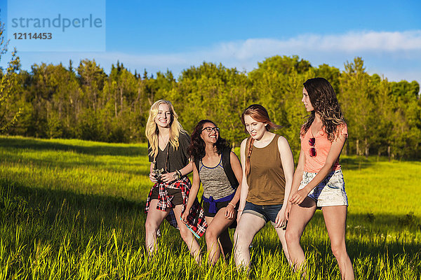 Eine Gruppe von vier Freundinnen wandert gemeinsam durch ein Feld in einem Park; Edmonton  Alberta  Kanada