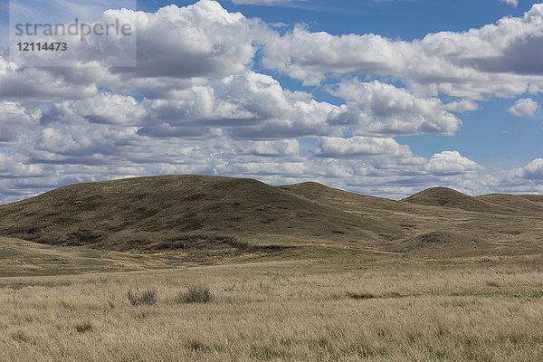 Prärie-Szene im Grasslands National Park; Saskatchewan  Kanada