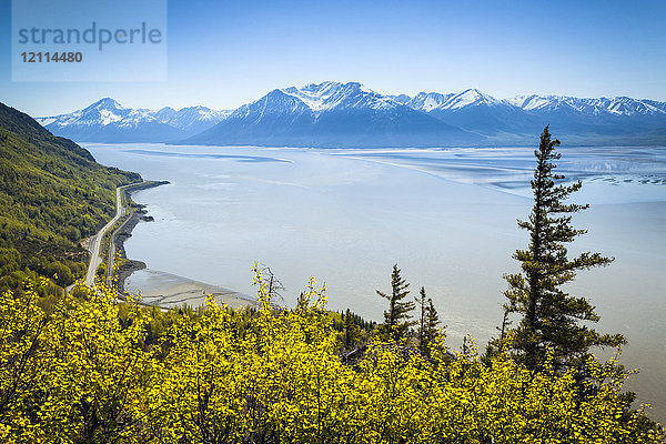 Blick auf den Turnagain Arm und die Kenai Mountains unter blauem Himmel  üppiges Grün im Vordergrund; Alaska  Vereinigte Staaten von Amerika