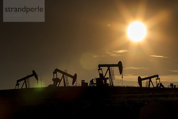 Silhouette zahlreicher Pumpjacks in einem Feld mit glühender Sonne bei Sonnenuntergang in den Prärien von Alberta  westlich von Airdrie; Alberta  Kanada