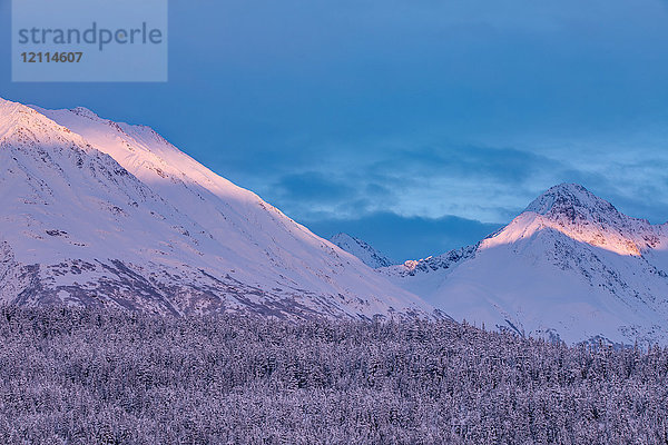 Tiefer Schnee bedeckt einen Fichtenwald und das warme Licht des Sonnenuntergangs beleuchtet die verschneiten Berge im Hintergrund  Kenai-Halbinsel  Süd-Zentral-Alaska; Moose Pass  Alaska  Vereinigte Staaten von Amerika