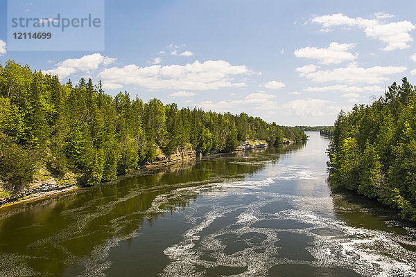 Ein ruhiger Fluss schlängelt sich an einem schönen Sommertag durch einen Kiefernwald; Campbellford  Ontario  Kanada