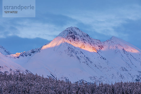 Tiefer Schnee bedeckt einen Fichtenwald und das warme Licht des Sonnenuntergangs beleuchtet einen verschneiten Berg im Hintergrund  Kenai-Halbinsel  Süd-Zentral-Alaska; Moose Pass  Alaska  Vereinigte Staaten von Amerika