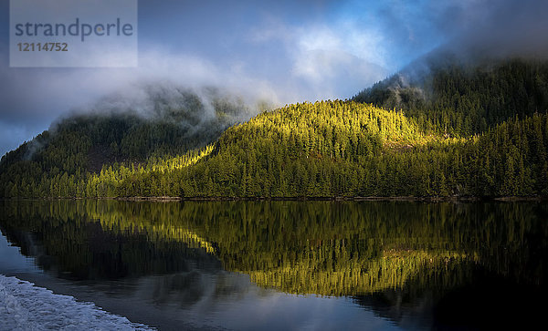 Landschaft der bewaldeten Küstenlinie und des ruhigen Ozeans  in dem sich die Bäume und Wolken spiegeln; Hartley Bay  British Columbia  Kanada