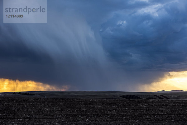 Dramatische Gewitterwolke über einem Farmfeld mit dunkler  schwarzer Erde und dem im Sonnenlicht glühenden Horizont; Idaho  Vereinigte Staaten von Amerika
