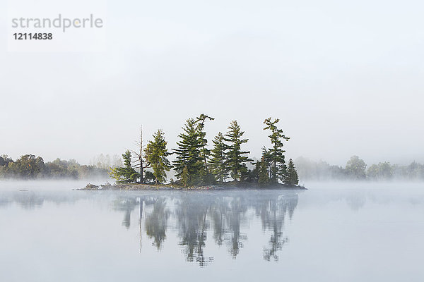 Nebel umhüllt eine kleine Insel im Turtle Lake in der Region Muskoka in Ontario  in der Nähe von Rosseau; Ontario  Kanada