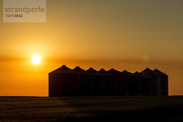 Silhouette von großen Getreidesilos aus Metall bei Sonnenaufgang mit orangefarbener Sonne und orangefarbenem Himmel  östlich von Calgary; Alberta  Kanada