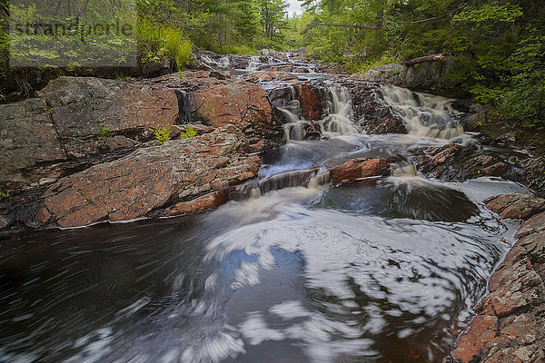Terrassenförmige Wasserfälle im Frühjahr entlang des Kings Brook  in der Nähe von Sleepy Cove; Grand Lake  Nova Scotia  Kanada