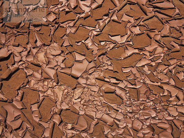 Texturierte Oberfläche von trockenem  rissigem  abblätterndem Schlamm; Hanksville  Utah  Vereinigte Staaten von Amerika