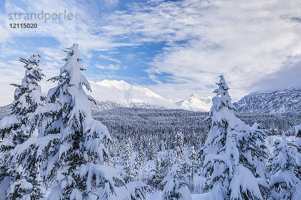 Ein mit Neuschnee bedeckter Wald mit schroffen Bergen in der Ferne unter einem blauen Himmel mit Wolken  Kenai-Halbinsel  Süd-Zentral-Alaska; Moose Pass  Alaska  Vereinigte Staaten von Amerika