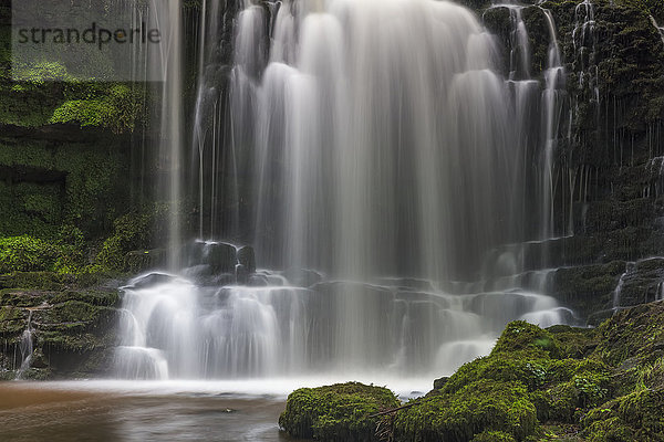 Zahlreiche Wasserfälle  die über Felsen in ein Becken in den Yorkshire Dales fließen; Settle  North Yorkshire  England