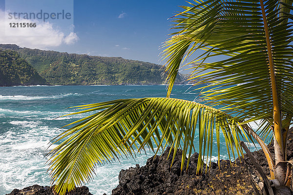 Mauis üppige Klippen an der Ostseite entlang der Straße nach Hana; Keanae  Maui  Hawaii  Vereinigte Staaten von Amerika