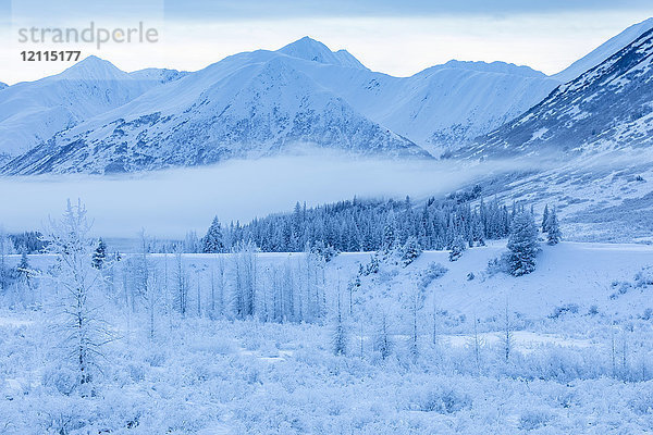 Ein mit frischem Schnee bedeckter Hochgebirgswald steht vor einem mit weißem Schnee und niedrigen Wolken bedeckten Berghang in der Dämmerung  Turnagain Arm  Kenai-Halbinsel  Süd-Zentral-Alaska; Alaska  Vereinigte Staaten von Amerika