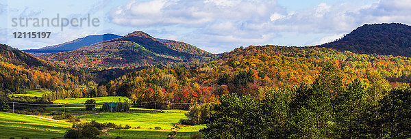 Waldlandschaft auf den Hügeln mit herbstlich gefärbtem Laub; Iron Hill  Quebec  Kanada