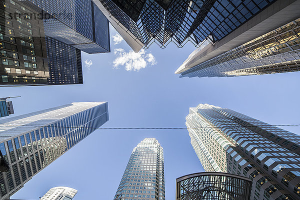 Wolkenkratzer in der Innenstadt von Toronto; Toronto  Ontario  Kanada