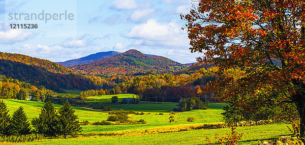 Waldlandschaft auf den Hügeln mit herbstlich gefärbtem Laub und saftig grünen Feldern im Vordergrund; Iron Hill  Quebec  Kanada
