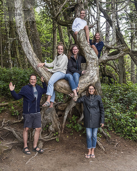 Ein Familienporträt mit vier Töchtern in einem Baum auf Vancouver Island; Ucluelet  British Columbia  Kanada