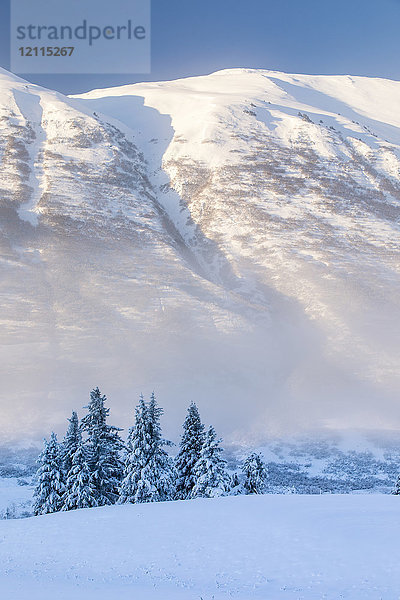 Mit Neuschnee bedeckte Fichten stehen vor einem mit weißem Schnee bedeckten Birkenwald  im Hintergrund die in warmes Licht getauchten Berghänge des Turnagain Pass  Kenai-Halbinsel  Süd-Zentral-Alaska; Alaska  Vereinigte Staaten von Amerika