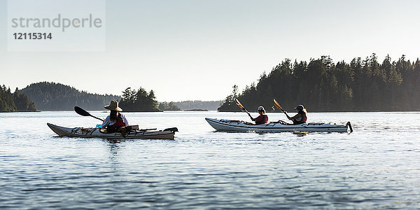 Kajakfahren im Clayoquot Sound  Vancouver Island; Tofino  British Columbia  Kanada