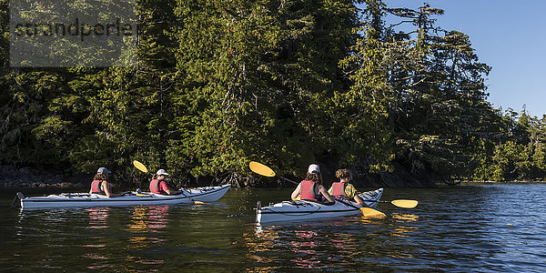 Kajakfahren im Clayoquot Sound  Vancouver Island; Tofino  British Columbia  Kanada