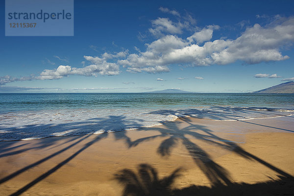 Schatten von Palmen an einem Strand an einem sonnigen Tag; Maui  Hawaii  Vereinigte Staaten von Amerika