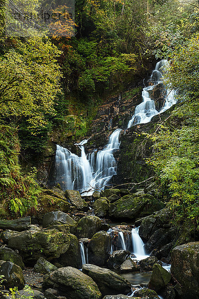 Torc-Wasserfall im Killarney-Nationalpark; Killarney  Grafschaft Kerry  Irland