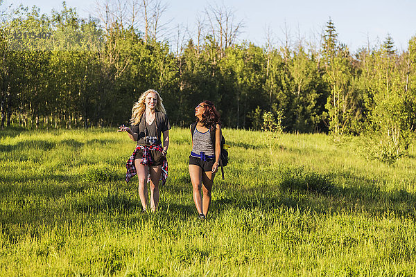 Zwei Freunde wandern und unterhalten sich in einem Park; Edmonton  Alberta  Kanada