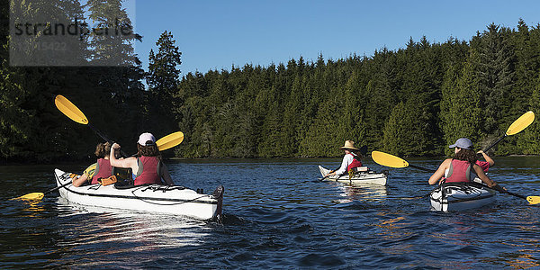 Kajakfahren im Clayoquot Sound  Vancouver Island; Tofino  British Columbia  Kanada