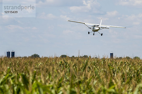 Ein kleines Flugzeug fliegt im Tiefflug über ein Farmfeld; Manitoba  Kanada