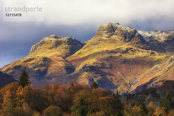 Langdale Pikes  schroffe Berge mit herbstlich gefärbten Bäumen im Tal; Langdale  Cumbria  England