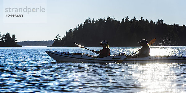 Kajakfahren im Clayoquot Sound  Vancouver Island; Tofino  British Columbia  Kanada