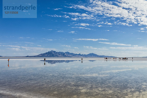 Touristen spazieren im zentimetertiefen Salzwasser in der Nähe der Bonneville Salt Flats; Wendover  Utah  Vereinigte Staaten von Amerika