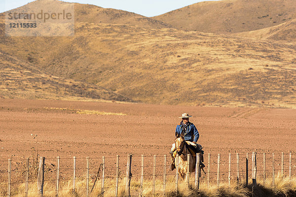 Ein Gaucho reitet auf seinem Pferd entlang seines Grundstücks mit kahlen Wüstenhügeln; Potrerillos  Mendoza  Argentinien