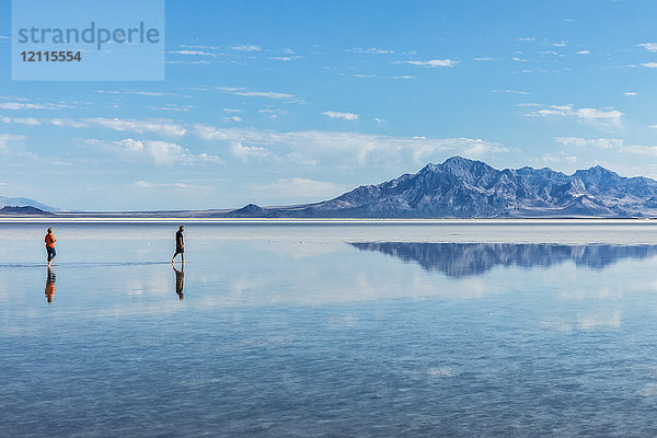 Touristen spazieren im zentimetertiefen Salzwasser in der Nähe der Bonneville Salt Flats; Wendover  Utah  Vereinigte Staaten von Amerika