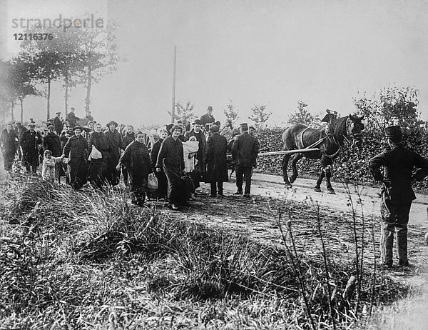 Laterna Magica WW1  1914-1918  Bilder des Ersten Weltkriegs. Flüchtlinge auf dem Weg von Antwerpen nach Holland. Mittellose Menschen  die zu Fuß gehen  um ihr Leben zu retten  einige mit Pferd und Wagen
