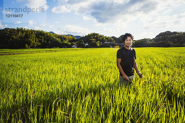 Ein Reisbauer steht in einem Feld mit grünen Feldfrüchten  einem Reisfeld mit üppigen grünen Trieben.