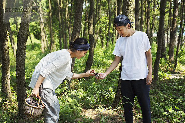 Mann und Frau tragen einen Korb  die draußen in einem Wald stehen und Pilze sammeln.