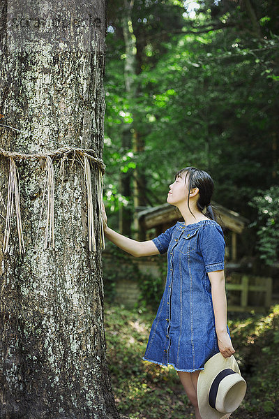 Junge Frau in blauem Kleid  die Shimenawa-Seile am Baum des Shinto-Sakurai-Schreins in Fukuoka  Japan  berührt.