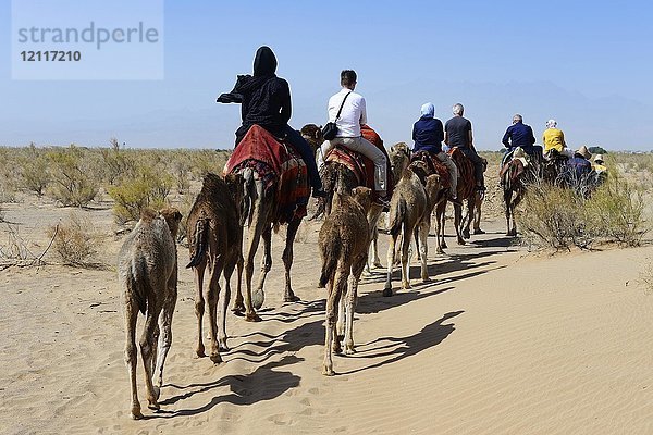 Touristen reiten auf Kamelen  Kameltour  Wüste Wadi Rum  bei Matinabad  Iran  Asien