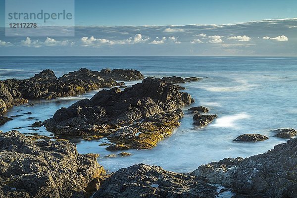 Wild Pacific Trail  Ucluelet  Vancouver Island  Britisch-Kolumbien  Kanada